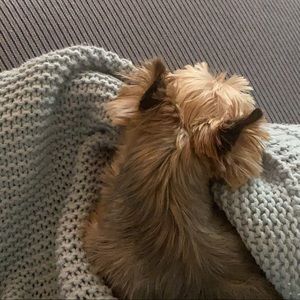 Meet your Posher, Mateja